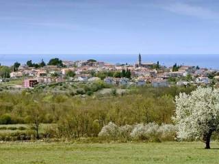 Plot for construction, Sale, Tar-Vabriga, Tar
