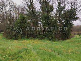 Plot for construction, Sale, Marčana, Rakalj