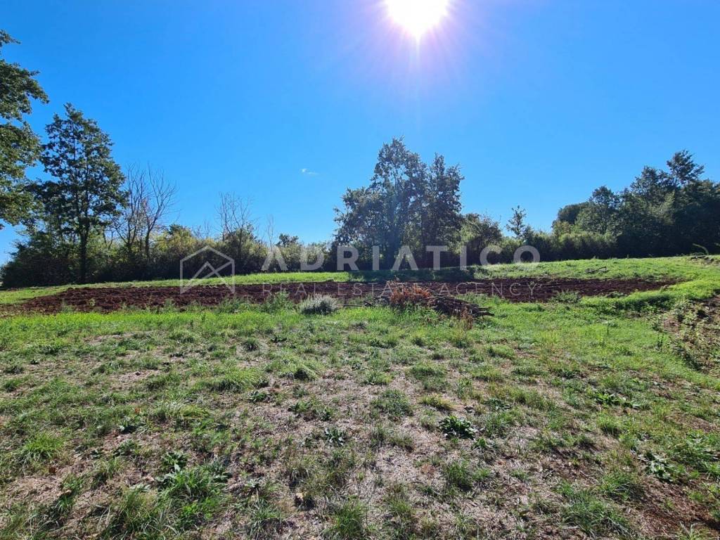 Plot for residential construction, Sale, Žminj, Žminj