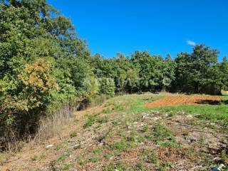 Plot for residential construction, Sale, Žminj, Žminj