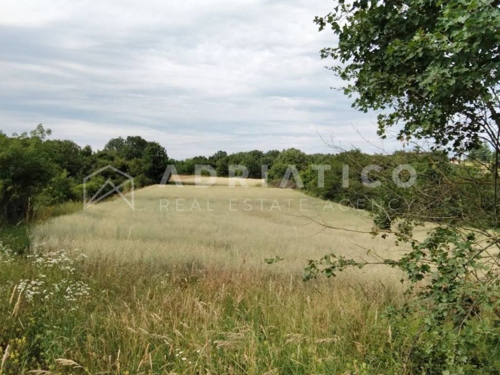 Plot for construction, Sale, Tinjan, Tinjan