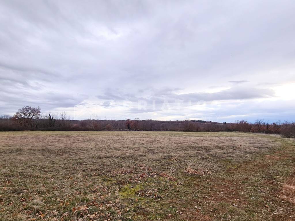 Agricultural plot, Sale, Kanfanar, Kanfanar