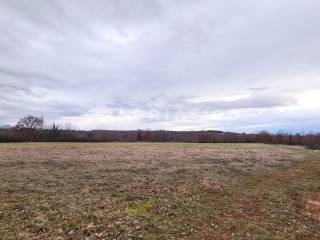 Agricultural plot, Sale, Kanfanar, Kanfanar
