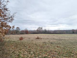 Agricultural plot, Sale, Kanfanar, Kanfanar