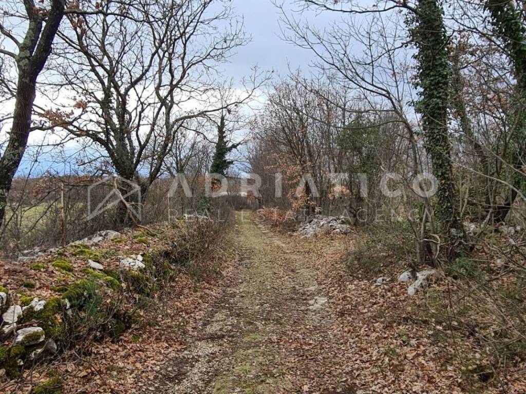 Agricultural plot, Sale, Kanfanar, Kanfanar