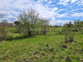 Land plot - other, Sale, Sveti Lovreč, Sveti Lovreč