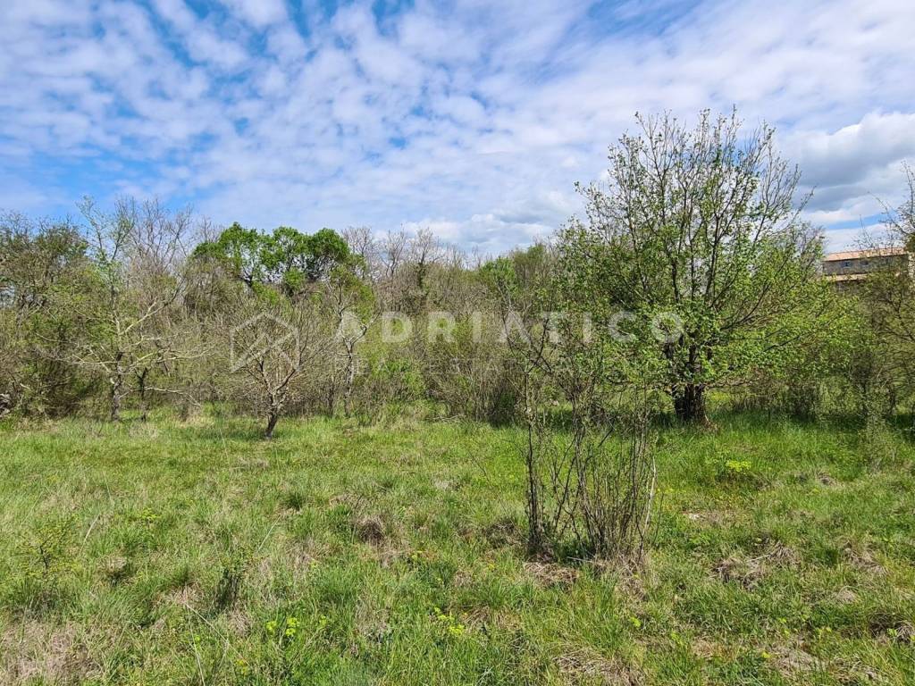 Land plot - other, Sale, Sveti Lovreč, Sveti Lovreč