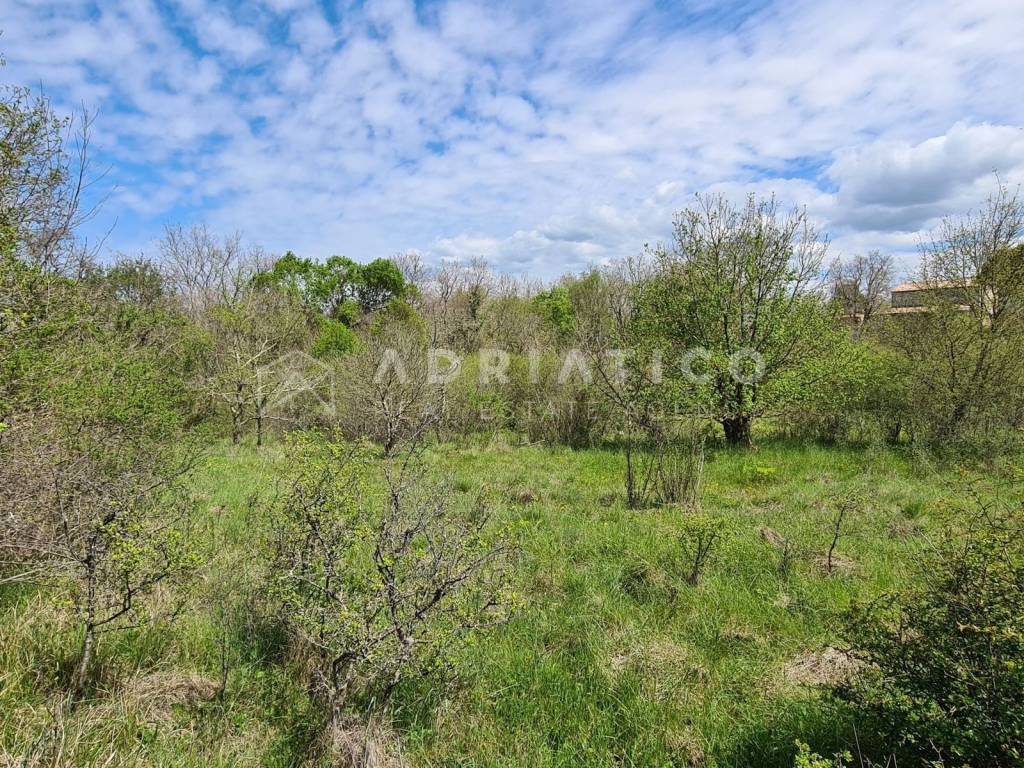 Land plot - other, Sale, Sveti Lovreč, Sveti Lovreč