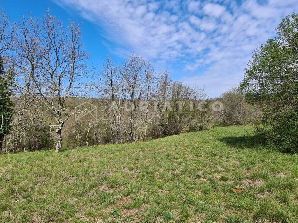 Land plot - other, Sale, Sveti Lovreč, Sveti Lovreč