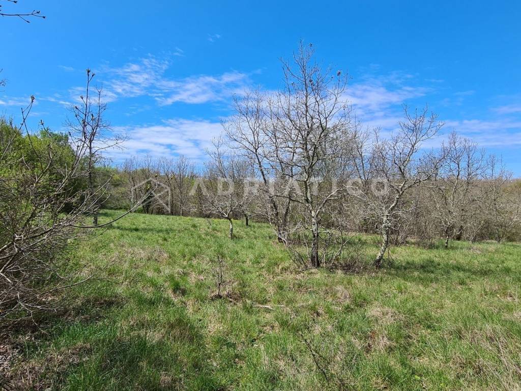 Land plot - other, Sale, Sveti Lovreč, Sveti Lovreč