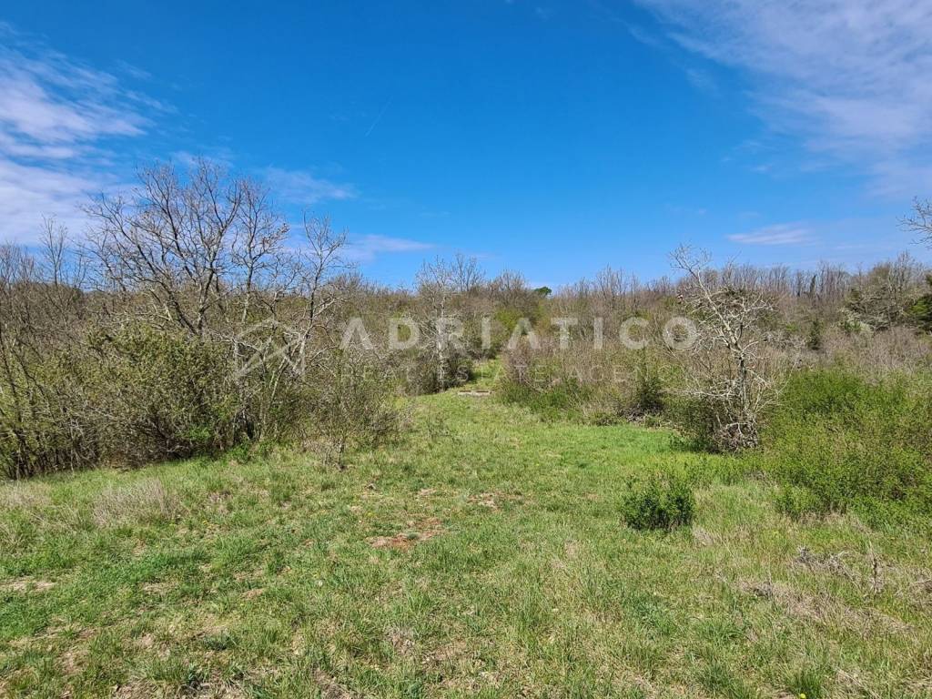 Land plot - other, Sale, Sveti Lovreč, Sveti Lovreč