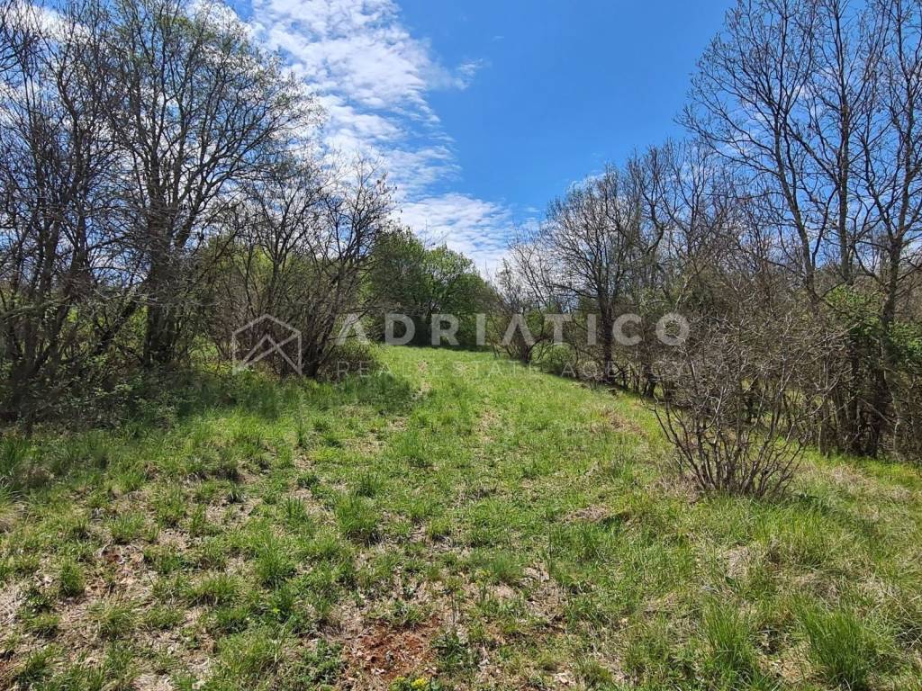 Land plot - other, Sale, Sveti Lovreč, Sveti Lovreč