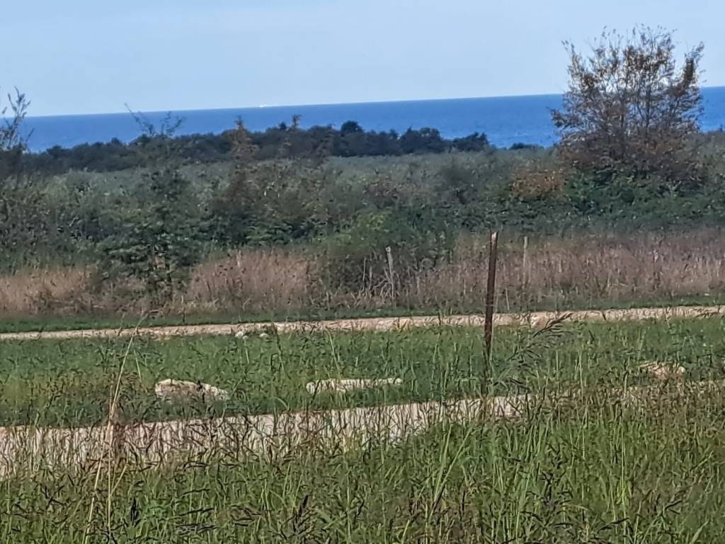 Construction plot for tourism, Sale, Poreč, Poreč