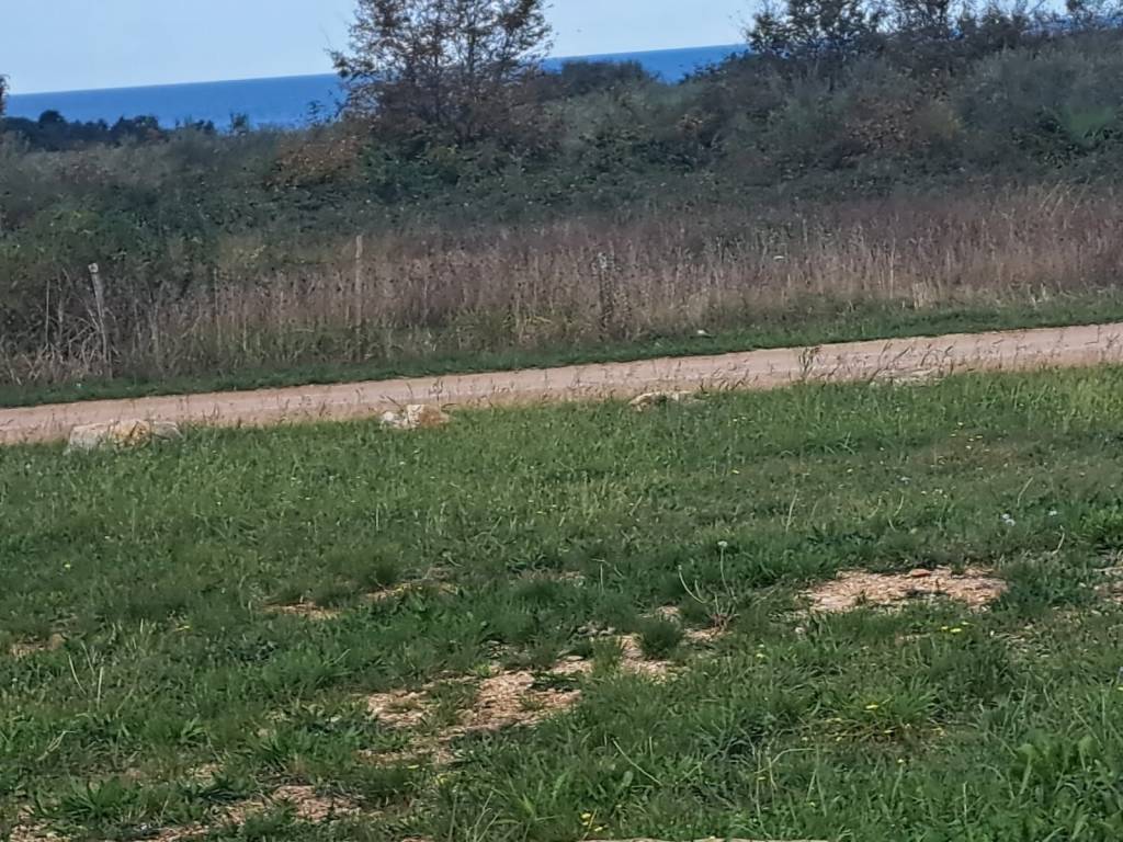 Construction plot for tourism, Sale, Poreč, Poreč