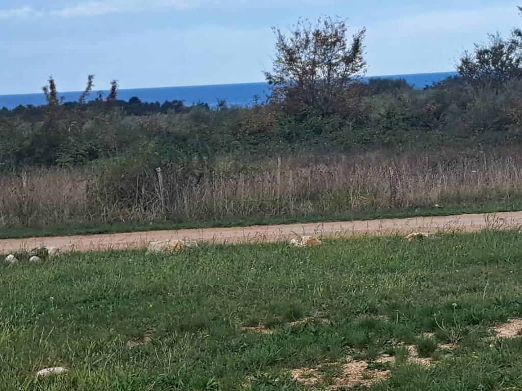 Construction plot for tourism, Sale, Poreč, Poreč