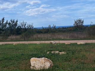 Construction plot for tourism, Sale, Poreč, Poreč