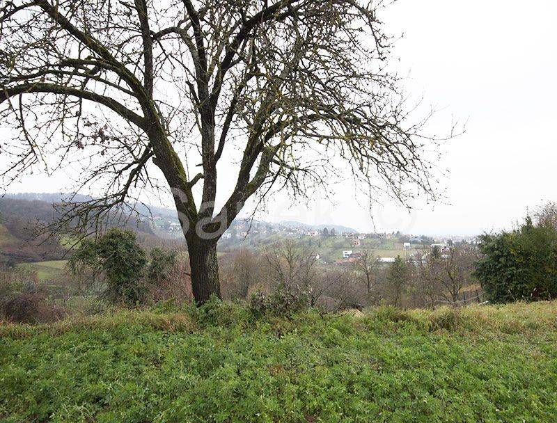 Plot for construction, Sale, Samobor - Okolica, Mala Rakovica