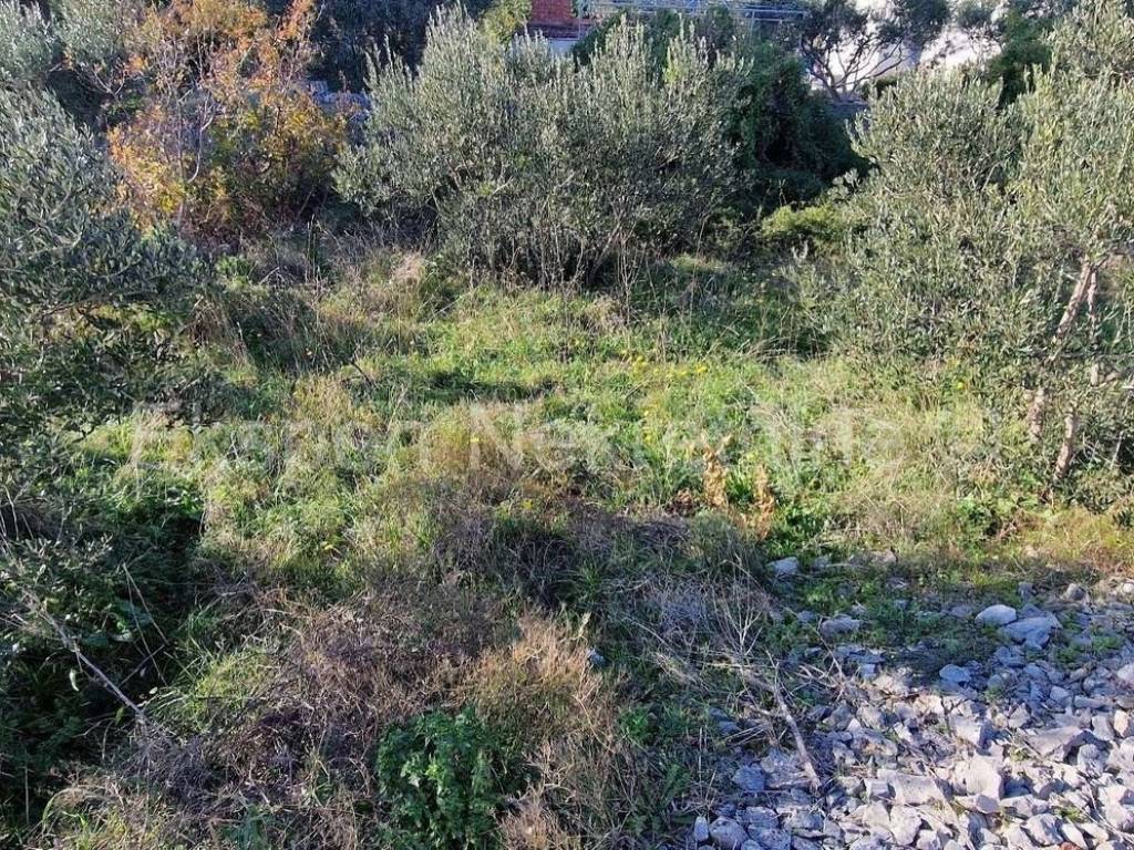 Plot for construction, Sale, Okrug, Okrug Gornji