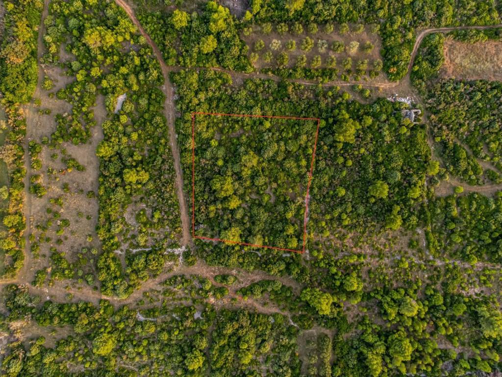 Vertical view on the plot