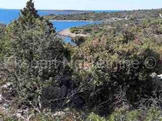 Agricultural plot, Sale, Trogir - Okolica, Drvenik Veliki