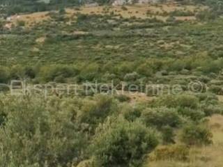 Agricultural plot, Sale, Rogoznica, Podorljak