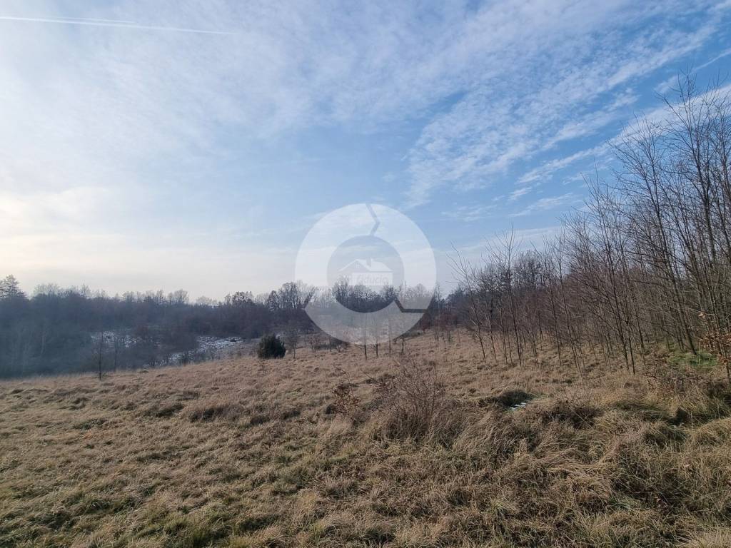 Agricultural plot, Sale, Višnjan, Vranići kod Višnjana