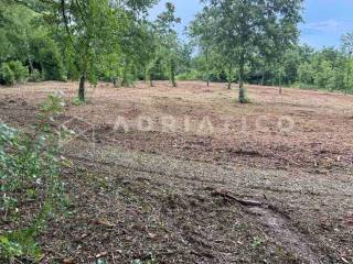 Plot for construction, Sale, Barban, Grandići