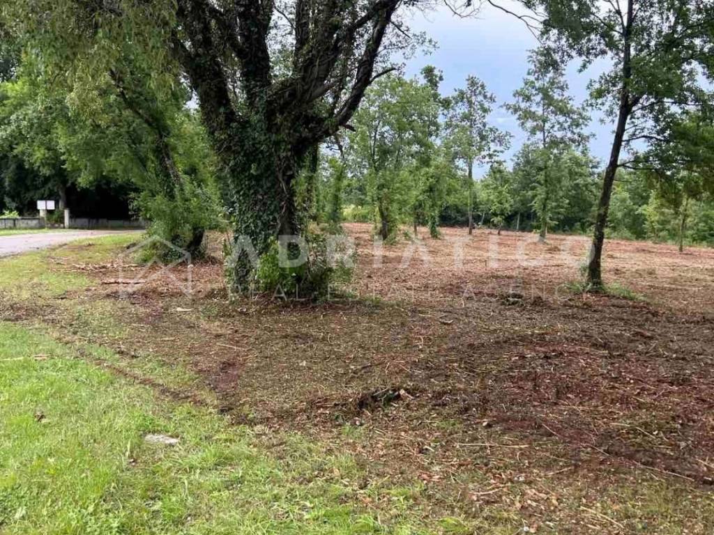 Plot for construction, Sale, Barban, Grandići