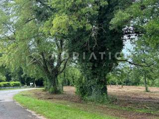 Plot for construction, Sale, Barban, Grandići
