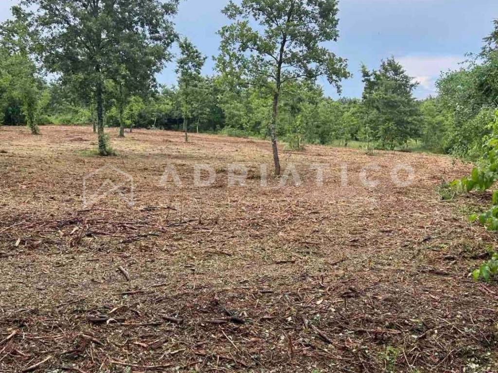 Plot for construction, Sale, Barban, Grandići