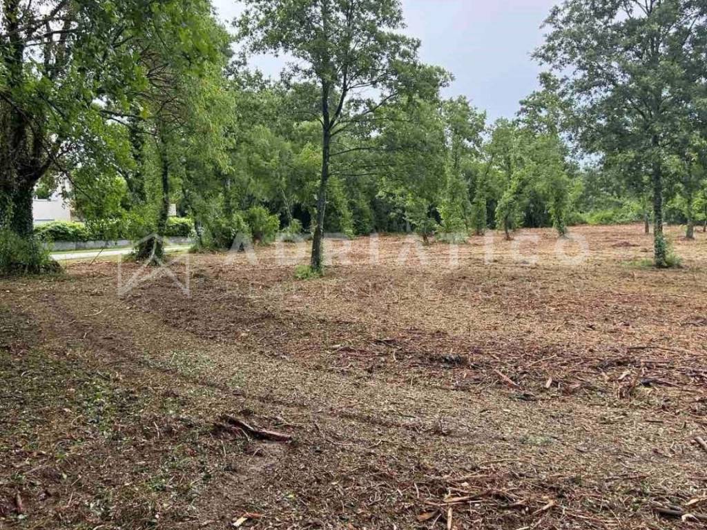 Plot for construction, Sale, Barban, Grandići