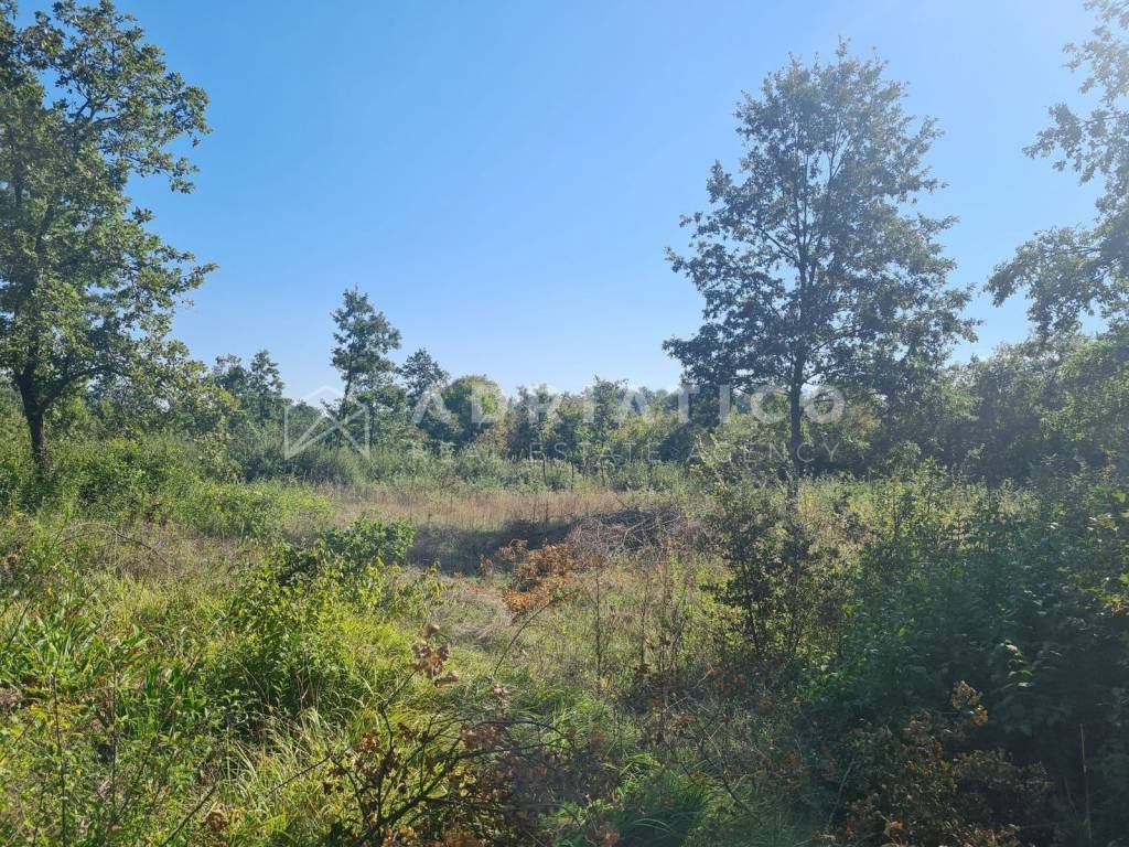 Plot for construction, Sale, Barban, Grandići