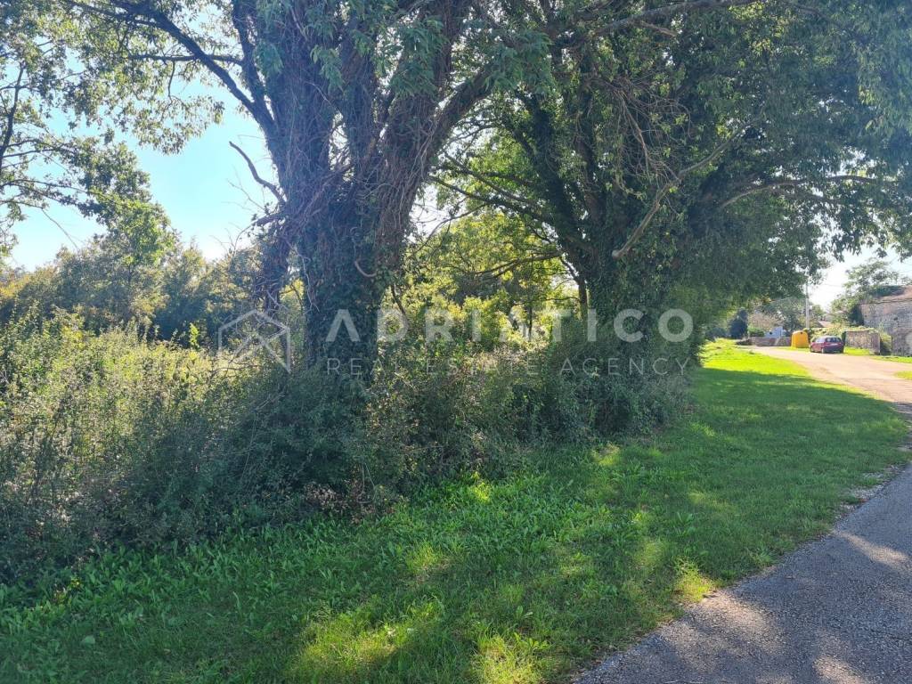 Plot for construction, Sale, Barban, Grandići