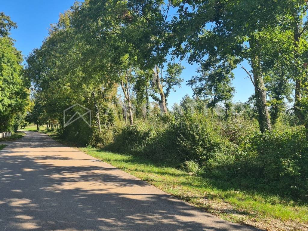 Plot for construction, Sale, Barban, Grandići