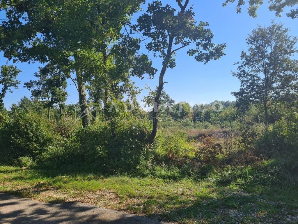 Plot for construction, Sale, Barban, Grandići