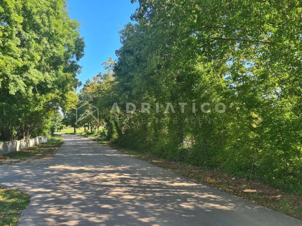 Plot for construction, Sale, Barban, Grandići