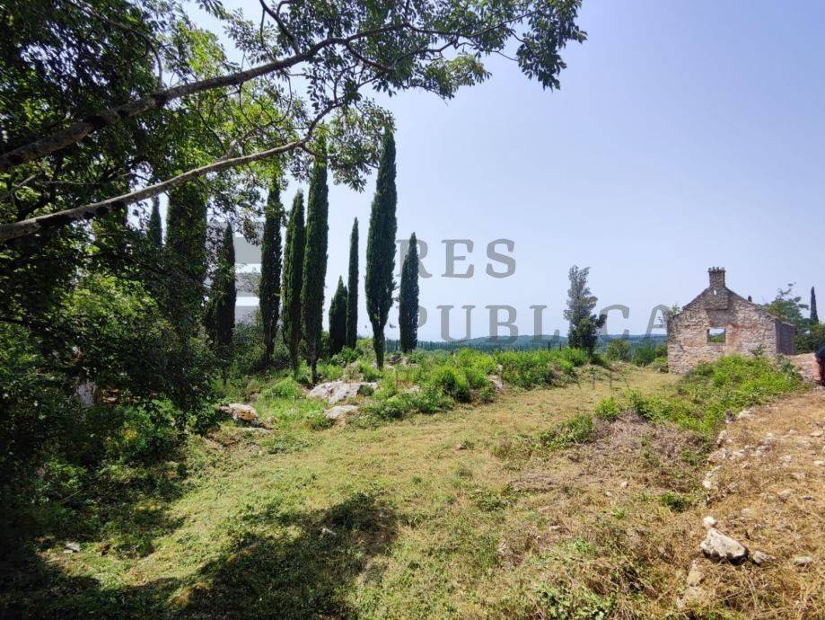 Plot for construction, Sale, Konavle, Čilipi