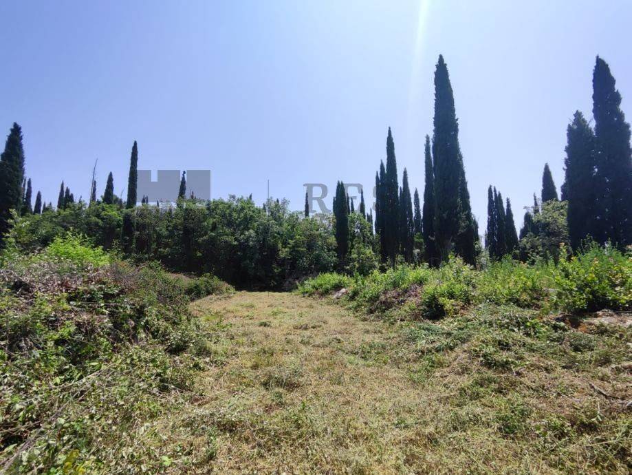Plot for construction, Sale, Konavle, Čilipi
