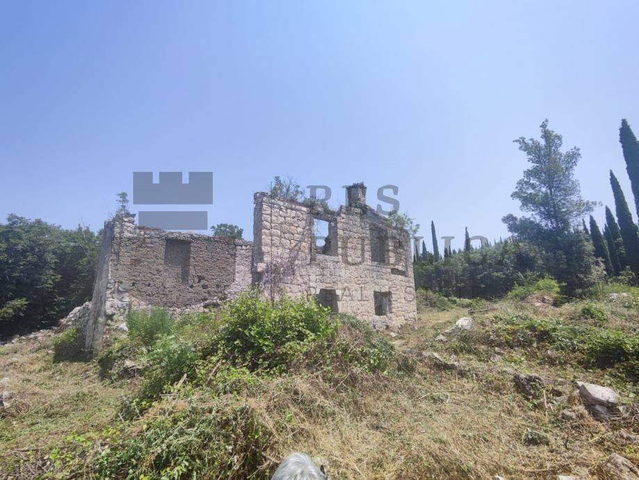 Plot for construction, Sale, Konavle, Čilipi