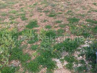 Plot for construction, Sale, Trogir, Trogir