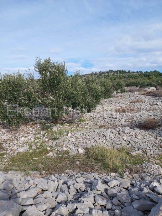 Agricultural plot, Sale, Rogoznica, Podorljak