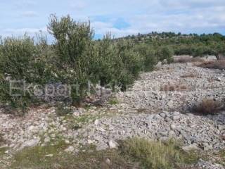 Agricultural plot, Sale, Rogoznica, Podorljak
