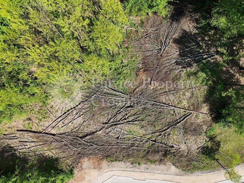 Plot for construction, Sale, Slunj, Donje Taborište