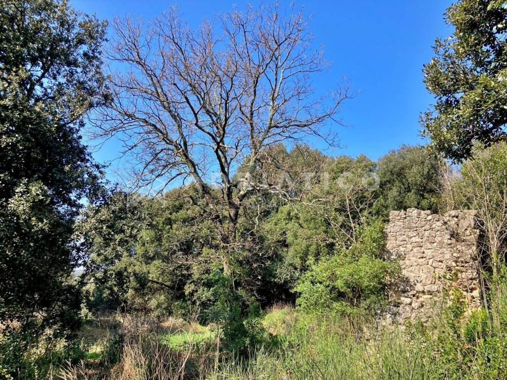 Agricultural plot, Sale, Rovinj, Rovinj