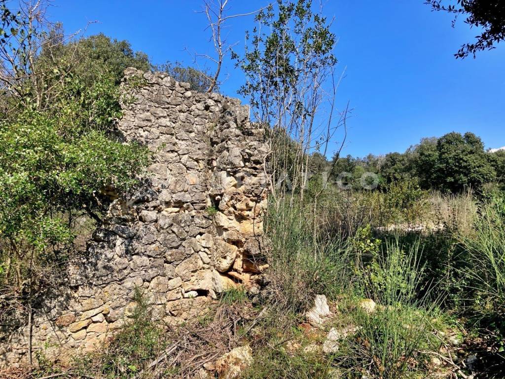 Agricultural plot, Sale, Rovinj, Rovinj