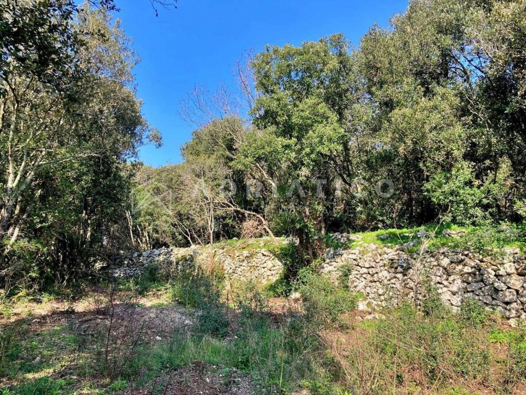 Agricultural plot, Sale, Rovinj, Rovinj