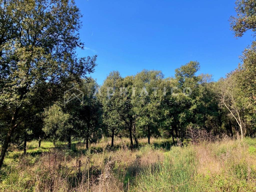 Agricultural plot, Sale, Rovinj, Rovinj
