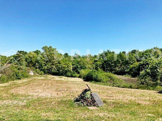 Plot for construction, Sale, Kanfanar, Kanfanar