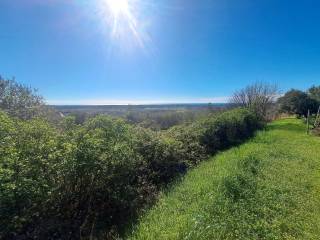 Plot for construction, Sale, Buje, Buje