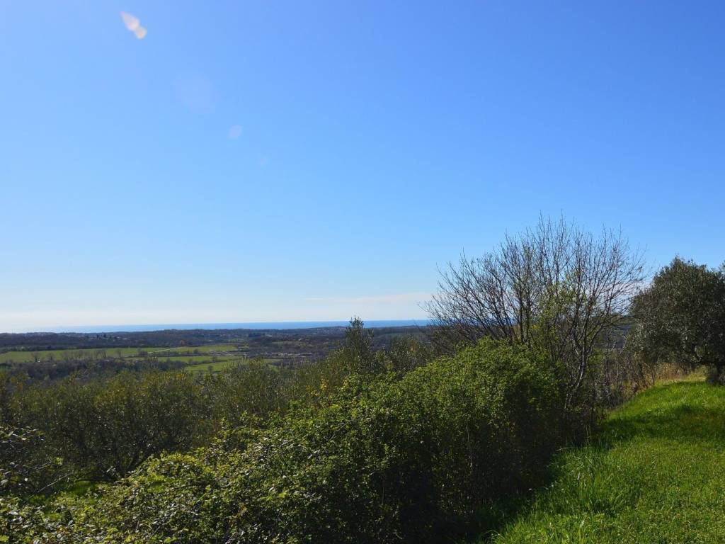 Plot for construction, Sale, Buje, Buje